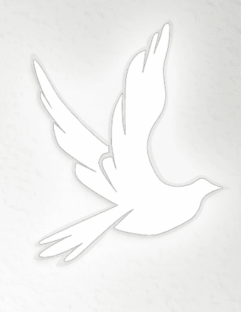 Celia M. Olszewski Obituary